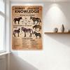 Vintage 'Dorkey Knowledge Why Mules Are Sterile' Educational Tin Sign, Old Scientific Poster Metal Plaque for Home Office Bar Ma