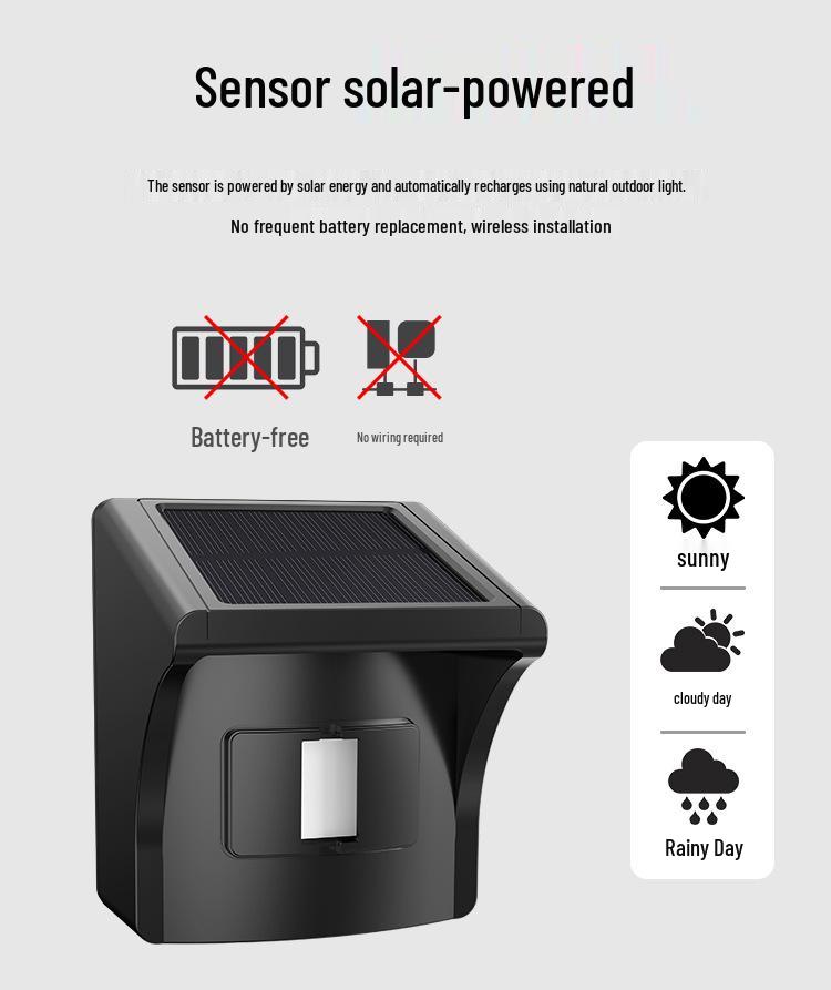 Solar-Powered Dual Detection Driveway Alarm & Wireless Doorbell System