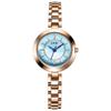 Niche Light Luxury Quartz Bracelet Watch Women'S Small Simple Waterproof Alloy Watch