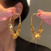 Tide Metal Fringed Earrings, High-end Temperament, Long Stud Earrings, Women's Exaggerated Earrings.