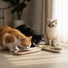 Long Multi-Cat Shared Eating Bowl Ceramic Dog Food Water Container  for Kitten/Puppy/Bunny