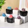 Mini Quadratisch Schwarz Weiß Keramik Sukkulenten Topf, Minimalistischer Schreibtisch Blumentopf, Kleiner Behälter für Daumenpflanzen