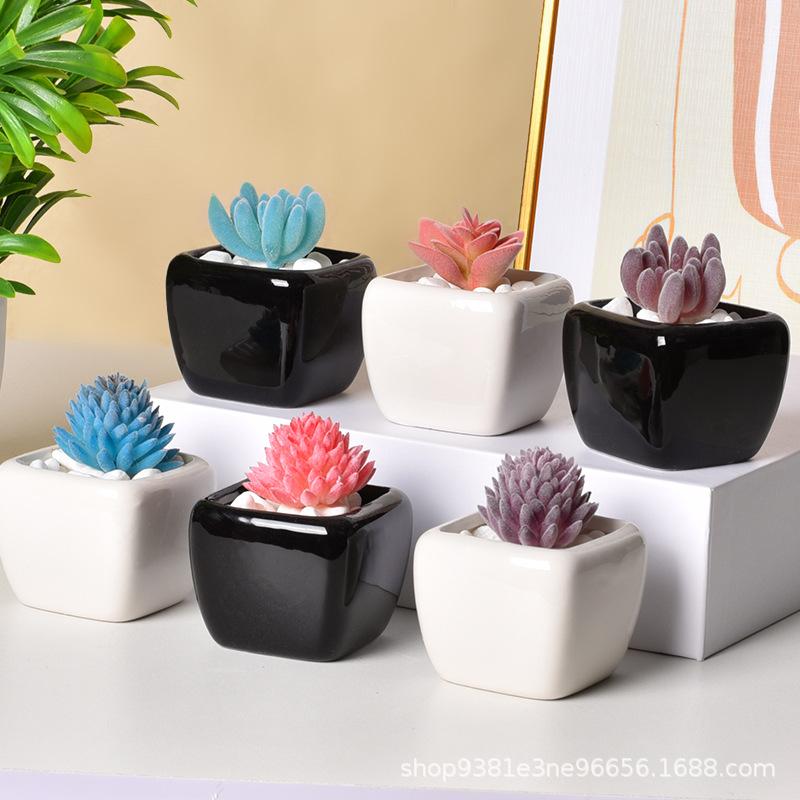 Mini Quadratisch Schwarz Weiß Keramik Sukkulenten Topf, Minimalistischer Schreibtisch Blumentopf, Kleiner Behälter für Daumenpflanzen