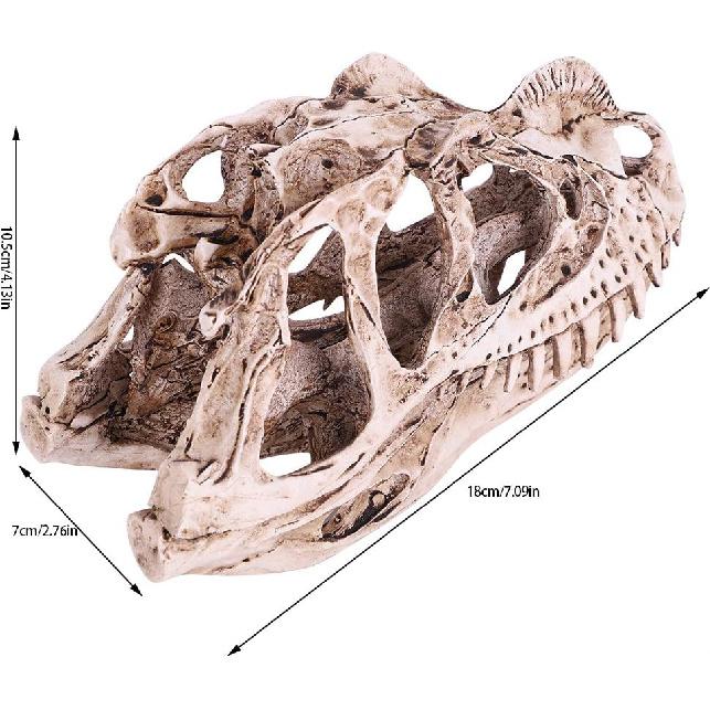 GOTOTOP Модель черепа динозавра, Модель черепа динозавра Имитация скелета животного Реалистичная учебная модель скелета для дома, офиса, аквариума, бара, вечеринки