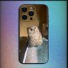 Pet Cute Owl Phone Case For iPhone 16,15,14,13,12,11,Pro,X,XS,Max,XR,Plus,Mini Soft Black Cover