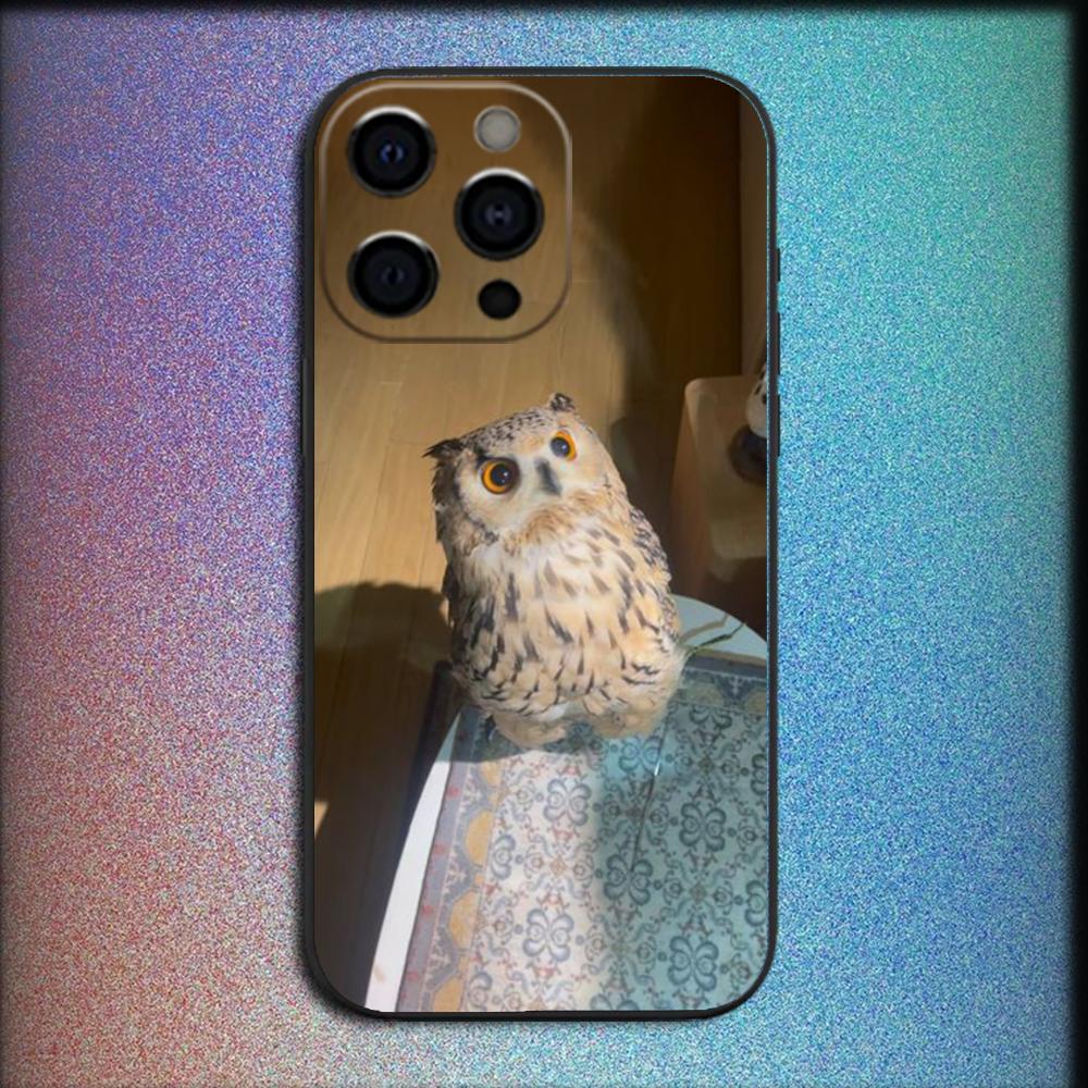 Pet Cute Owl Phone Case For iPhone 16,15,14,13,12,11,Pro,X,XS,Max,XR,Plus,Mini Soft Black Cover