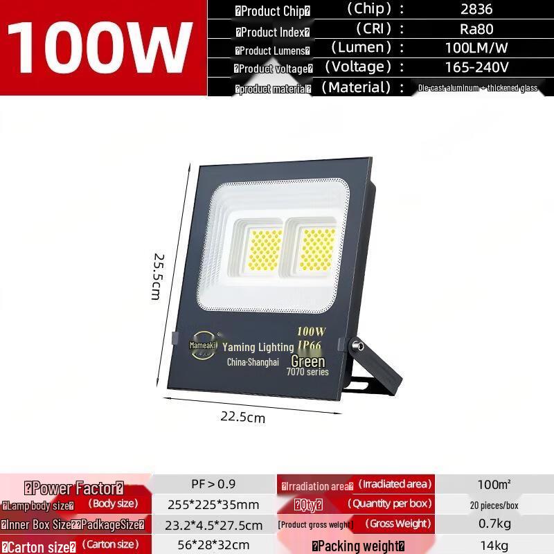 Nu Feng 100W LED Outdoor Rechargeable Floodlight