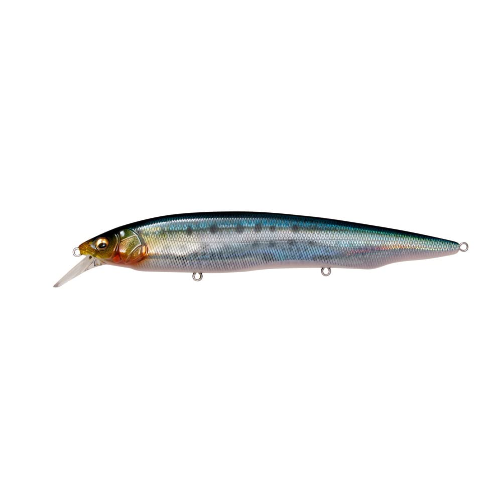 

Megabass KANATA SW FA Сардина