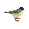 Miniature Birds Decor Animal Sculpture Simulation Bird Figurines Sparrow Figures for Bookshelf Home