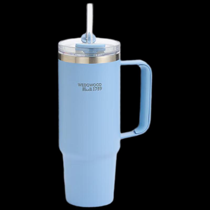 WEDGWOOD Embossed Jade Pastel Portable Insulated Straw Cup