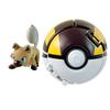Pokemon Model with Ball Poke Pokeball Mew Groudon Solgaleo Mewtwo Pikachu Meowth Charizard Kyogre Fennekin Froakie Chespin Toy