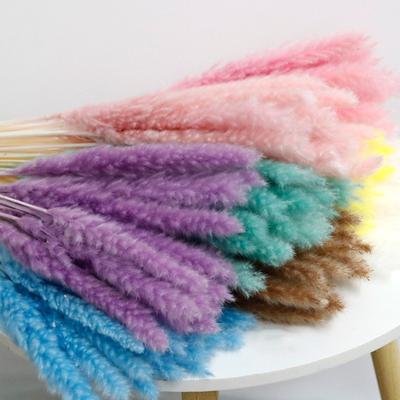 Künstliches getrocknetes Pampasgras, realistisch, lebendige Farbe, pflegeleicht, Hochzeits-Herzstück, Pampasgras, künstliche Pflanzendekoration