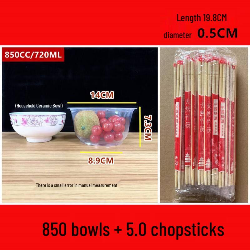 Disposable Bowl and Chopstick Set