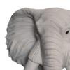 3 Wall Decoration Fine Workmanship for Living 0Cmx9Cmx21.5cm Stylish Addition to Mount Ornament