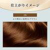 hair Bigen Repicolor 2N more natural brown pieces Hoyu for whole or partial hair (Gray dye) - Lighter, (2 + bonus) Self-Color