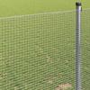 Welded Wire Fence Silver