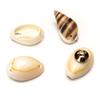 Pack Of 10 Natural Shell Buttons Unique Conch Shape Button Buckles For Fashion Designers And Craft Clothing Project