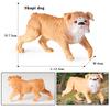 Oenux Dog Animals Model Action Figure Dobermann Shiba Inu Pomeranian Boxer Husky Puppy Figurines Cute Collection Toy Kids Gift