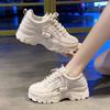 Dad Shoes Women's Sports and Leisure Shoes Spring New Single Shoes Heightened Platform Women's Shoes Velvet White Shoes