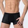 Men Summer Thin Ice Silk Shorts Panties Breathable Hollow Mesh U-convex Mid-rise Solid