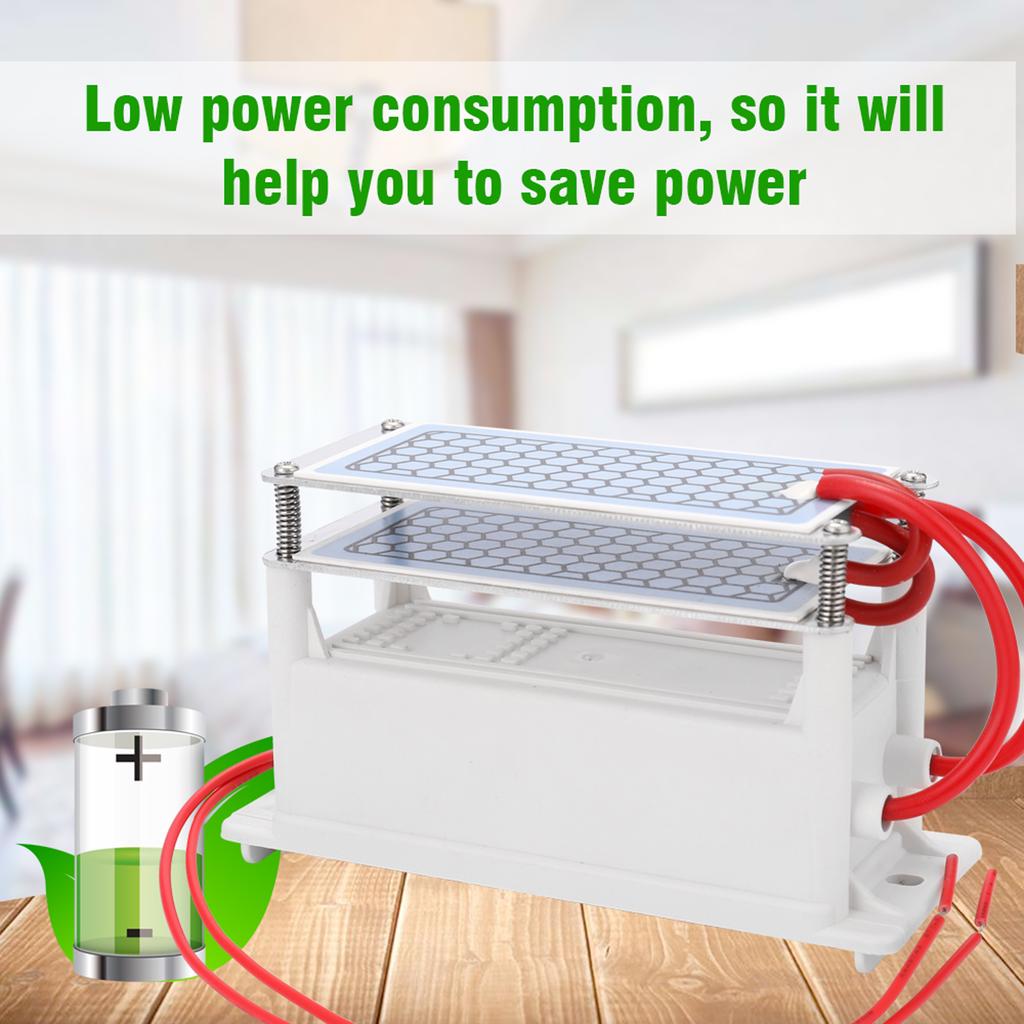 Generator de ozon ceramic portabil 10g/h Ozonizator cu placă dublă integrată