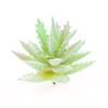 Diy Simulated Succulent Plant Hair Planting, Mini Fake Succulent Bonsai With Flowers, More Than 20 Styles Of Bn1