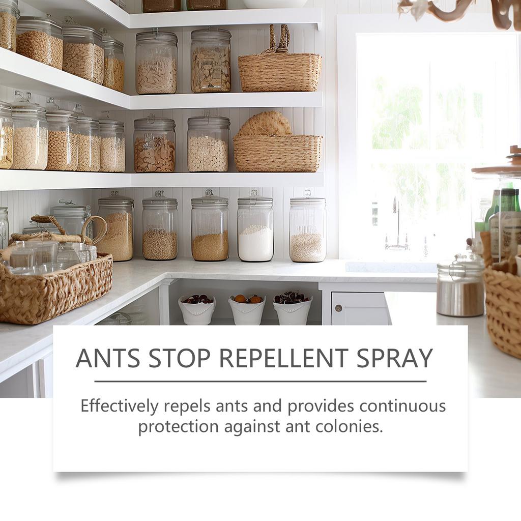 Ant Spray For Indoor And Outdoor Use, Fresh , Fast And Effective Anti-ant Infestation 60ML