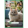 4G Pro GPS Pet Tracker - Real-Time Locator Collar with GPS/Beidou/WiFi, Waterproof, Voice Call & Geo-Fence (CE/FCC)