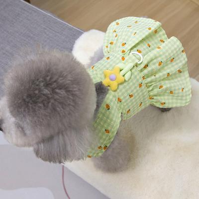 Giyim ve ayakkabı – Köpek elbiseleri