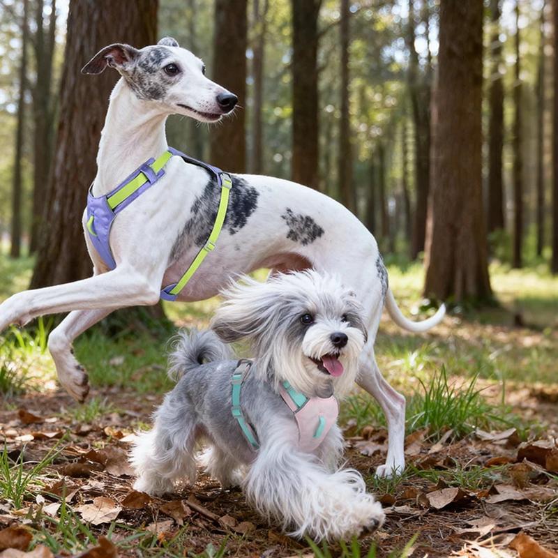 Breathable Lightweight Dog Harness Adjustable Waterproof Quick-Drying Pet Vest with Night Reflective Straps Pechera Para Perro
