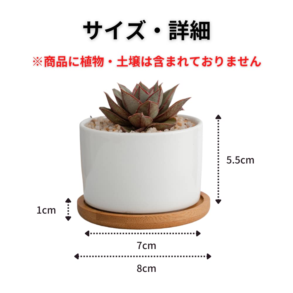Riblind Succulent Ceramic Cactus Mini Suitable for Mini Ceramic No Bamboo Plate Included of Pot, Pot, Pot, Pot, Plants, White, Plant, (Set 4)