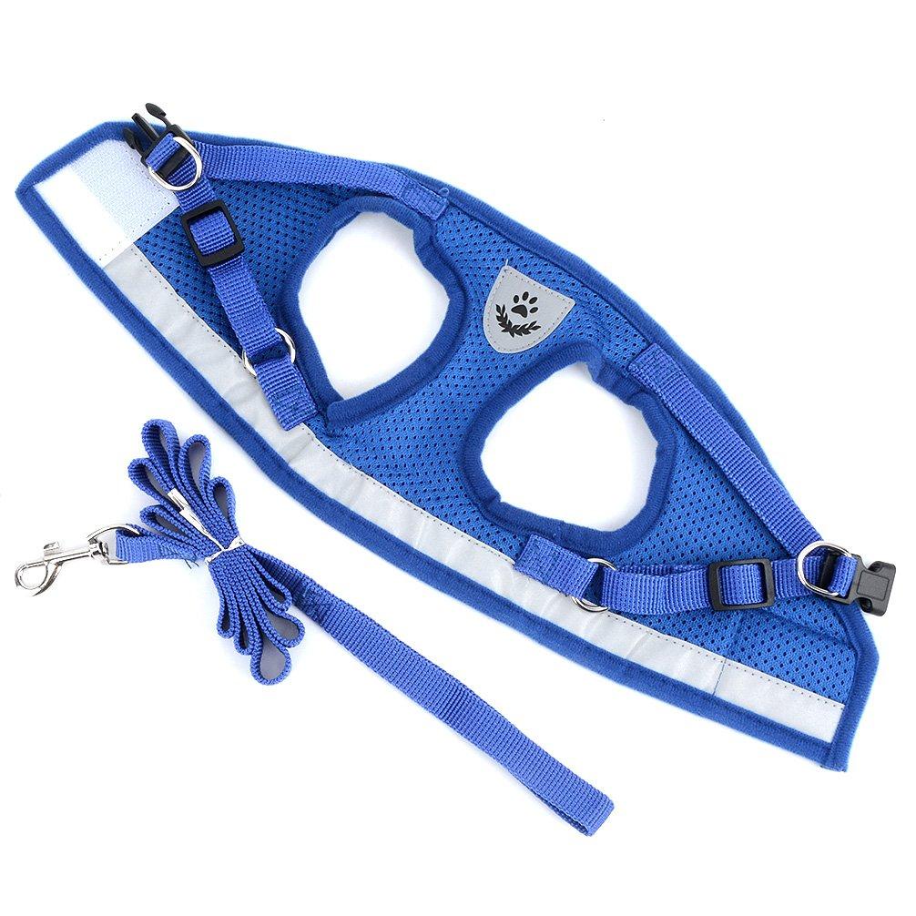 RANPHY Mesh Dog Harness with Reflective Leash Set for Extra and Perfect for and and Available in 4 Colors Small, Small, Puppies, Walks, Training,