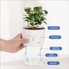 Automatic Absorbent Small Flower Pot Transparent Hydroponic Utensil Resin Hydroponic Plant Special Pot