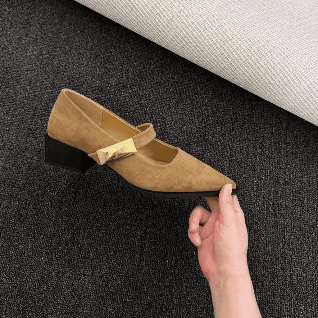 First encounter French-style ancient pointed head shallow mouth Mary Jane shoes 2026 new one-word with temperament medium heel single shoes
