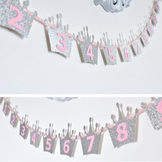 1st Baby Birthday Party Glitter Crown Monthly Photo Banner 1-12 Months Garland
