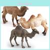 Realistic Animal Pvc Model Camel Decoration For Kids Educational Display And Gifts