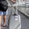 5 stk/sett Bagasjemerkeholder med stålring, klar vanntett glidelåsforsegling Gjenbrukbar bagasjeetikett erme Cruise Essentials