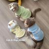 Warm Fleece Pet Vest Cats - Thick Cotton Winter Coat British Shorthair Ragdoll Golden Tabby Kittens