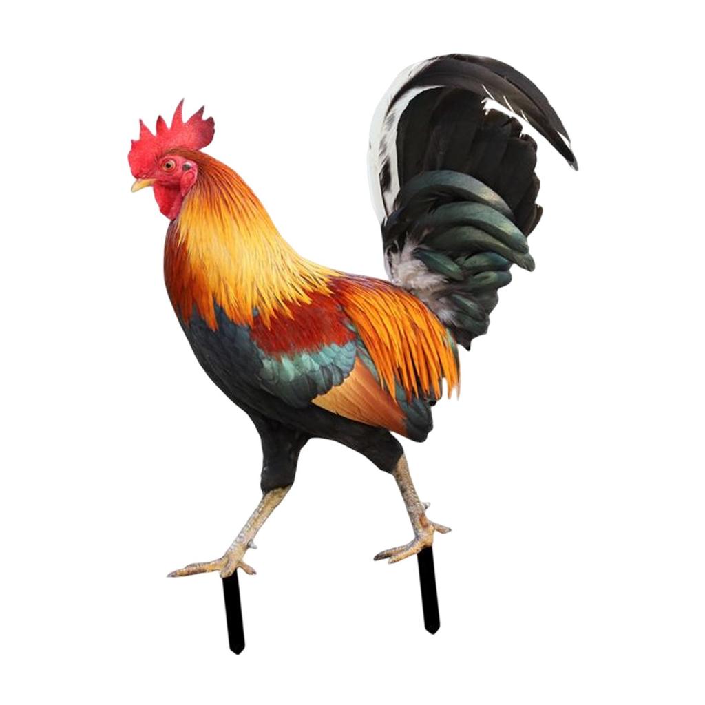 Garden Stakes Rooster Animal Statue Yard Sign Decorative Sculpture Lifelike Figures Hen Garden Ornaments for Backyard Outdoor