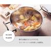 Miyazaki Seisakusho Geo Double-Handled Pot 20cm Made in Japan IH Compatible All Heat Source