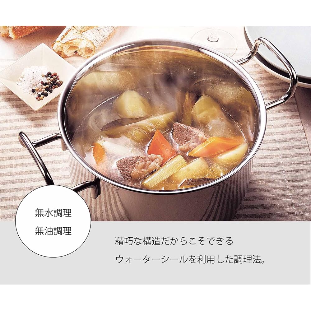 Miyazaki Seisakusho Geo Double-Handled Pot 20cm Made in Japan IH Compatible All Heat Source