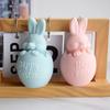 3D Easter Bunny Egg Silicone Candle Mold Decor Clay Resin Soap Mould Handmade Candle Making Fondant Cake Baking Decor