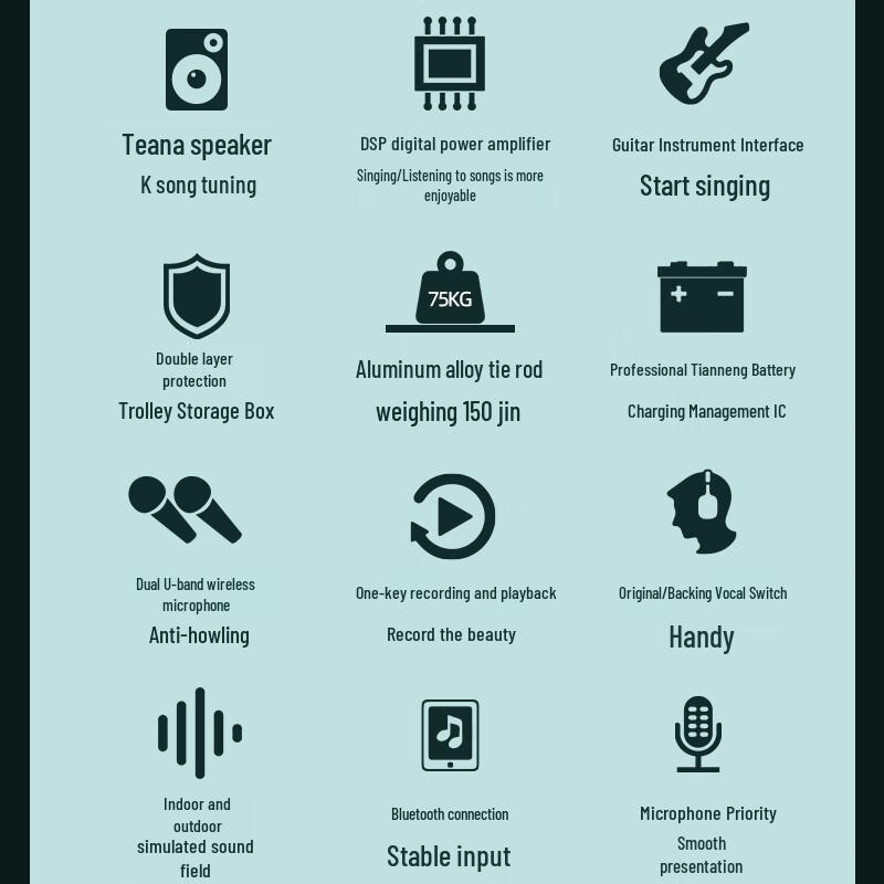 SANSUI E15 Portable Outdoor Karaoke Speaker with 12-inch Bass and Dual Microphones