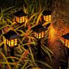 Solar Flame Lawn Lamp - Outdoor Waterproof Garden Light for Courtyard and Landscape