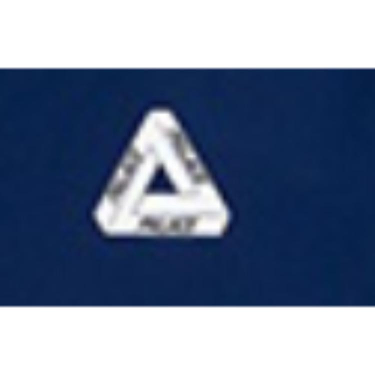 Palace Reverso Hood TBD-PALACE-8