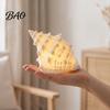 Safe Midnight Navigation Conch Shell Night Light, Resin LED Lamp with Auto Timer, Light for Bedroom Beach Theme Decorative Lighting Coastal