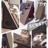 Hoopet Triangular Vertical Corrugated Cat Scratcher