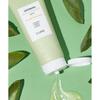 KimjeongmoonAloe Larsense Roe Cure Saponaria Aloe Cleanser 1975
