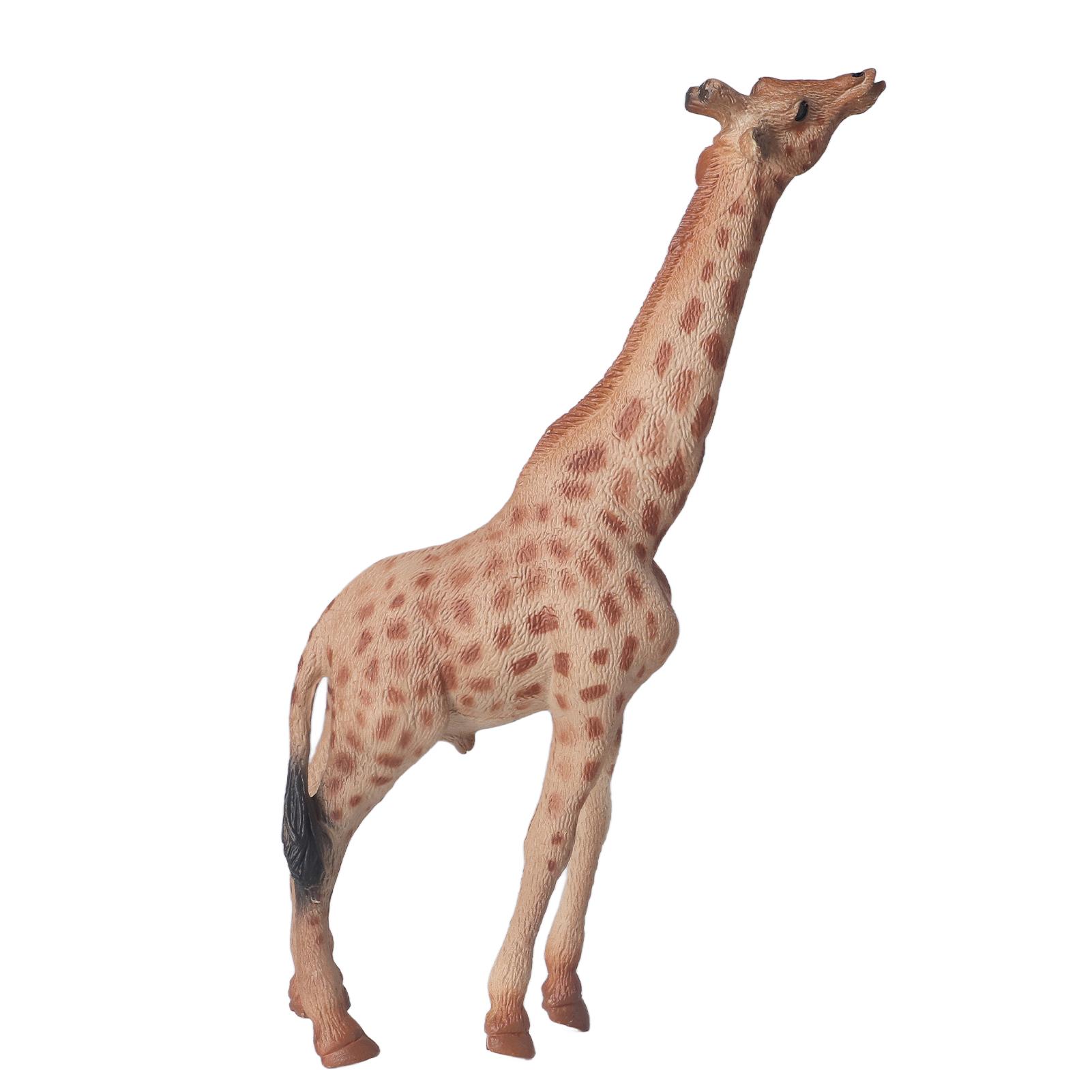 

Имитация модели жирафа Реалистичный внешний вид Фигурка дикого животного для коллекции, украшения
