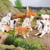Cognitive Cat Simulation Model: Mini Tabby, Black, White Cat Educational Toy